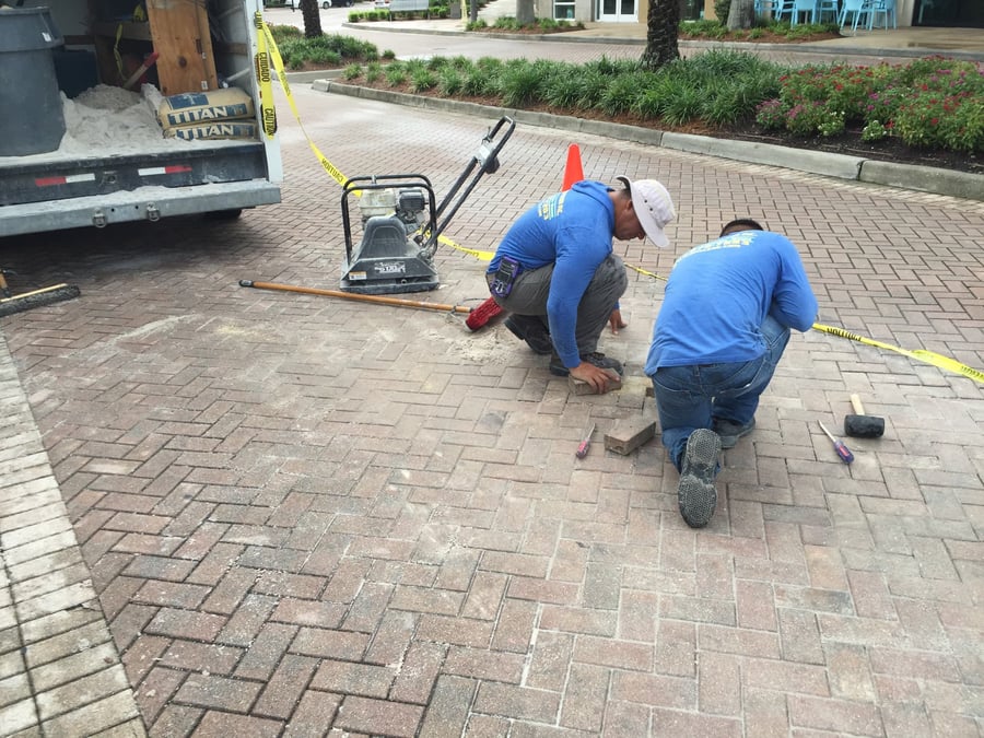 Crew resetting pavers on a retail plaza with plate compactor