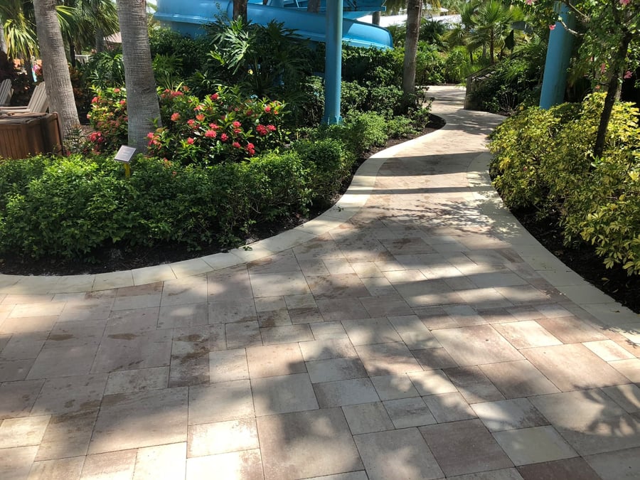 Curved walkway winding through resort landscaping beside a pool slide