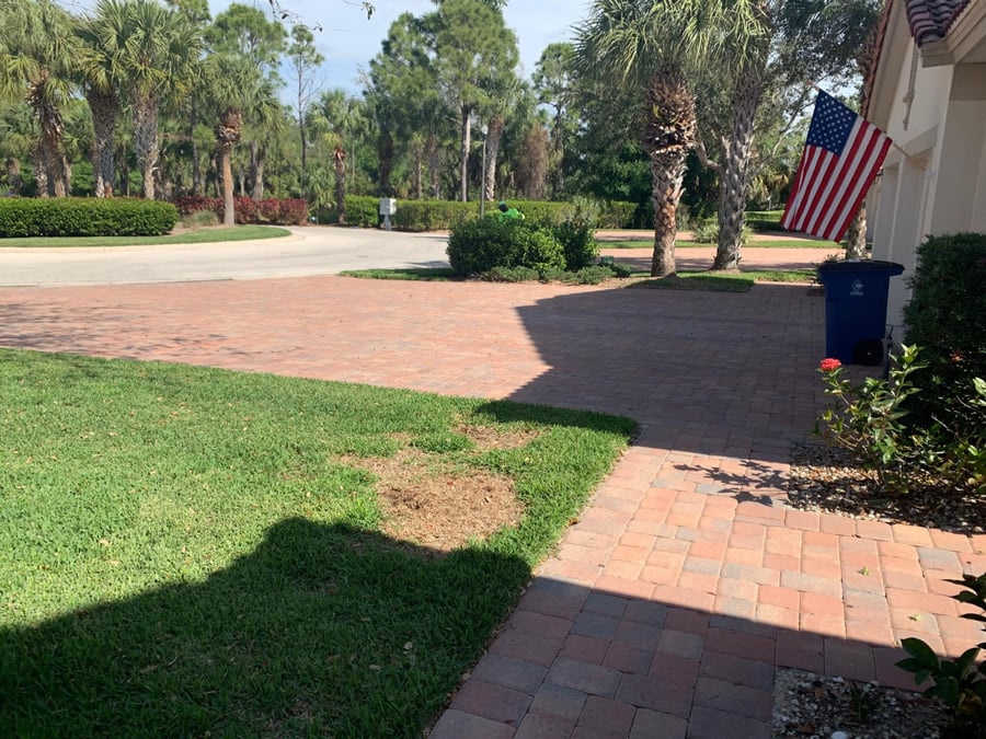 Red brick paver driveway and entry walkway at a Naples home