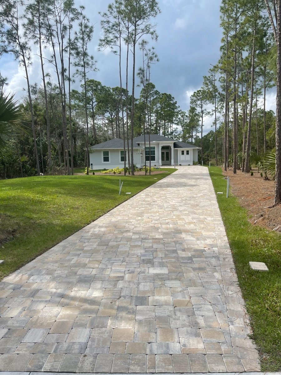 Long paver driveway through a pine lot to a coastal home