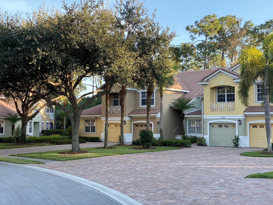 Shared paver driveway under live oaks in a residential community