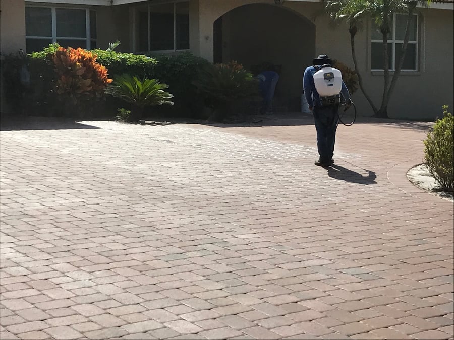Crew applying paver sealer to a brick driveway with a backpack sprayer