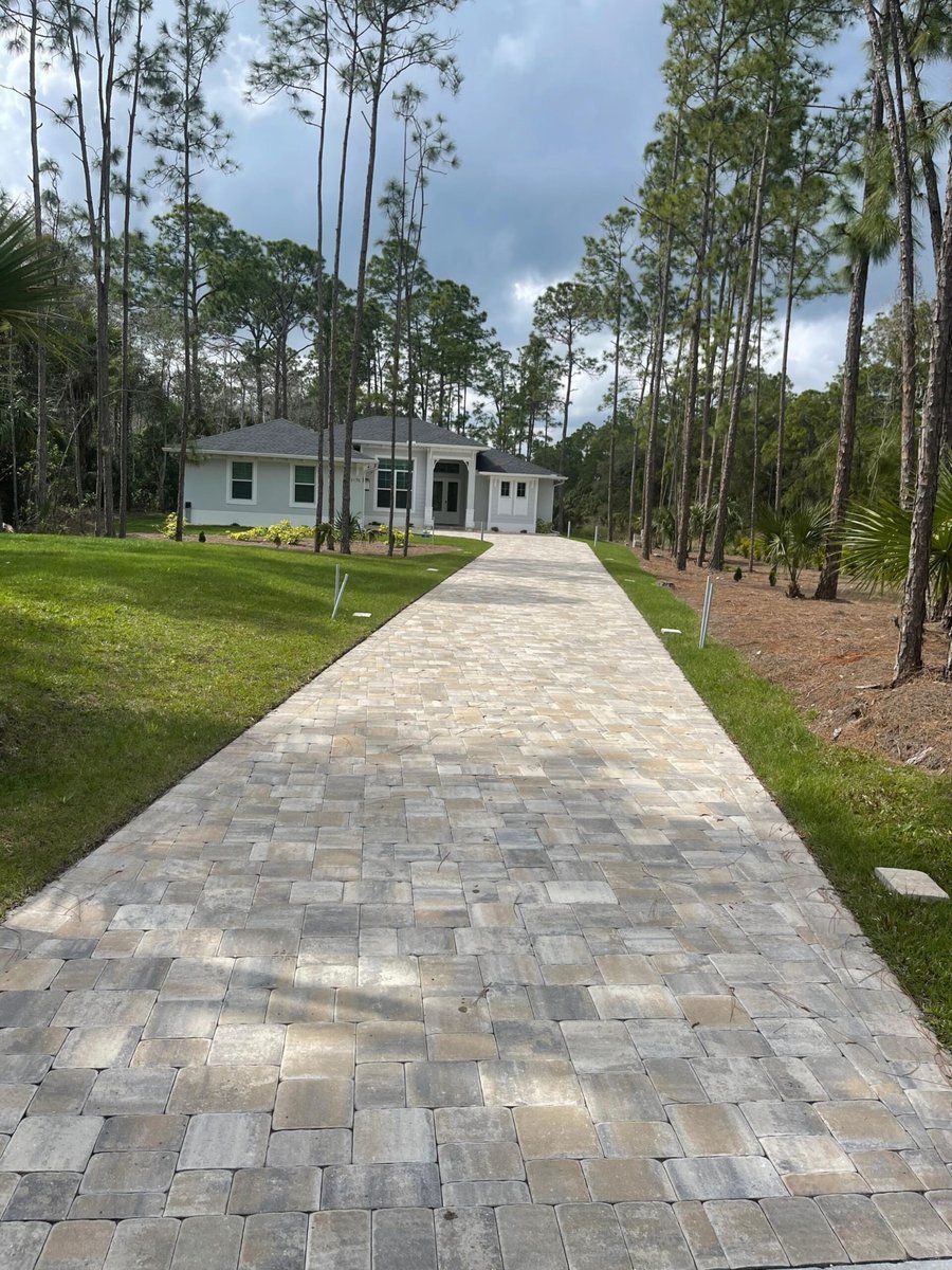 Long paver driveway leading through pines to a new home