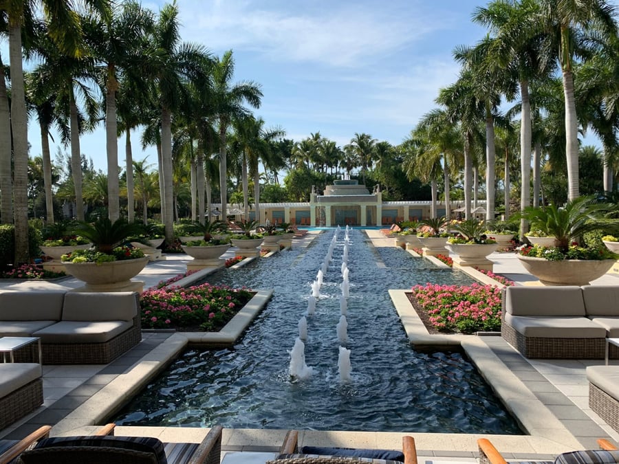 Palm lined resort walkway with reflecting fountain runs