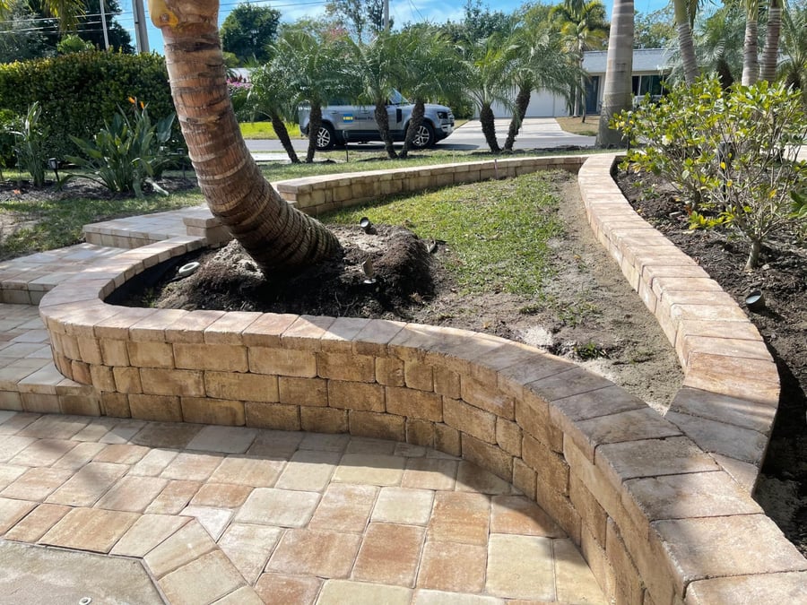 Curved paver planter wall around a palm with a coordinated walkway