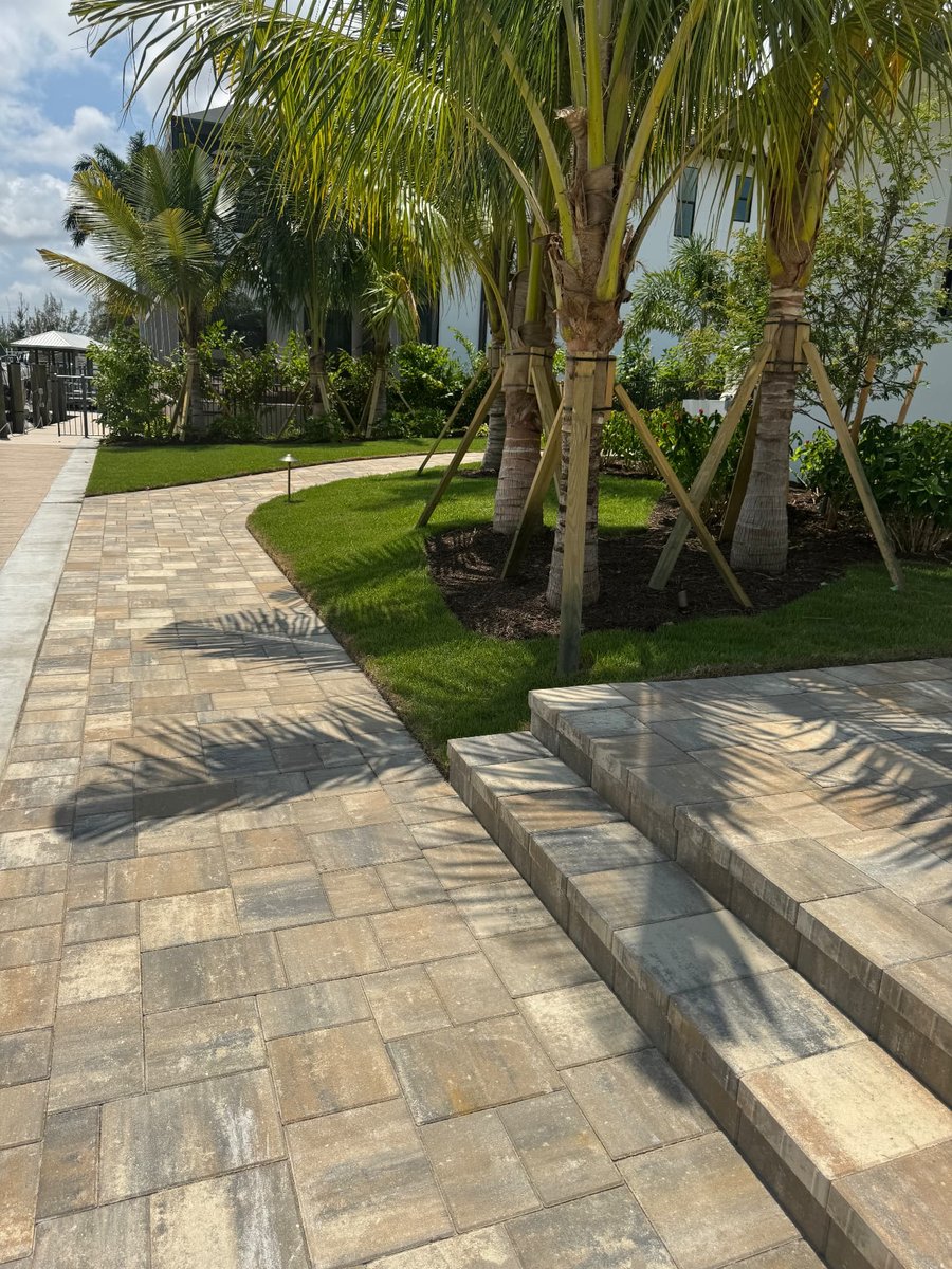 Paver walkway beside palm trees leading to wide entry steps