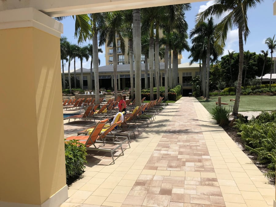 Resort poolside promenade walkway lined with royal palms