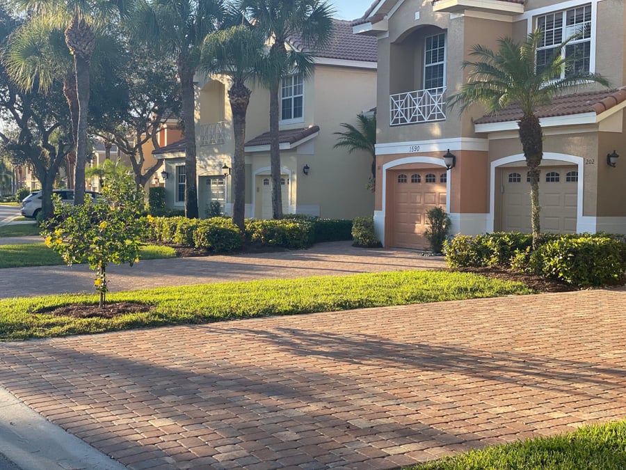 Brick paver driveways lined with palms at coach homes